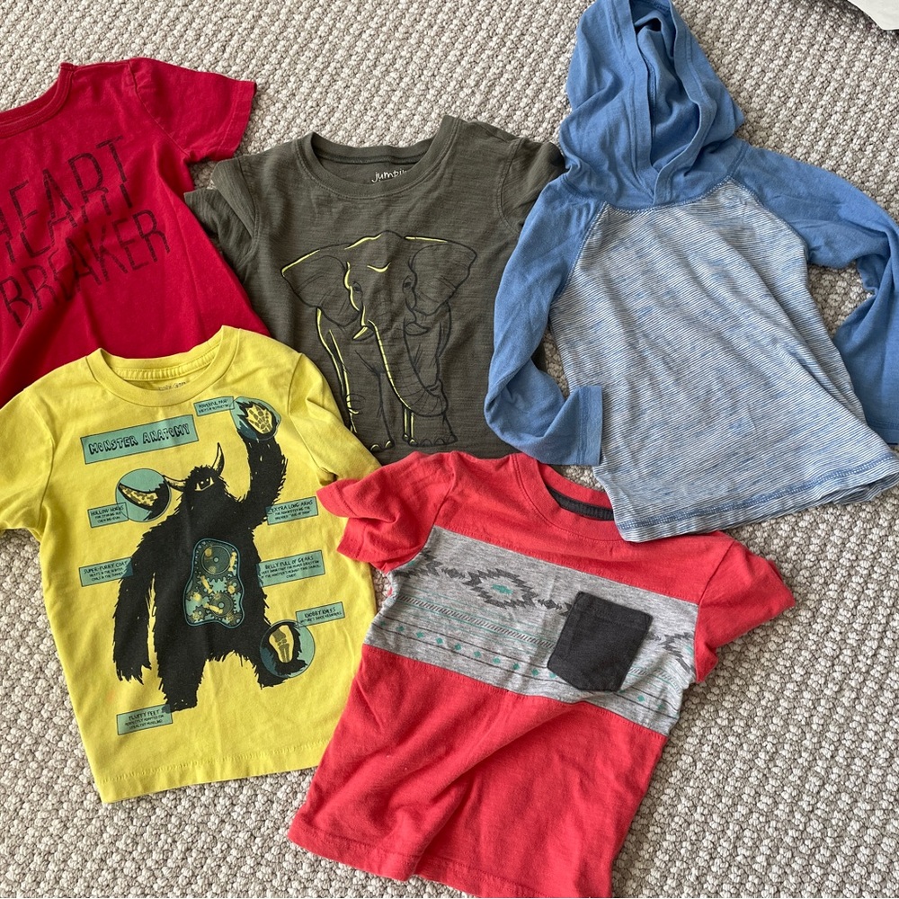 Carter's Kids T-Shirt Collection - with Bonus Dinosaur Sweatshirt